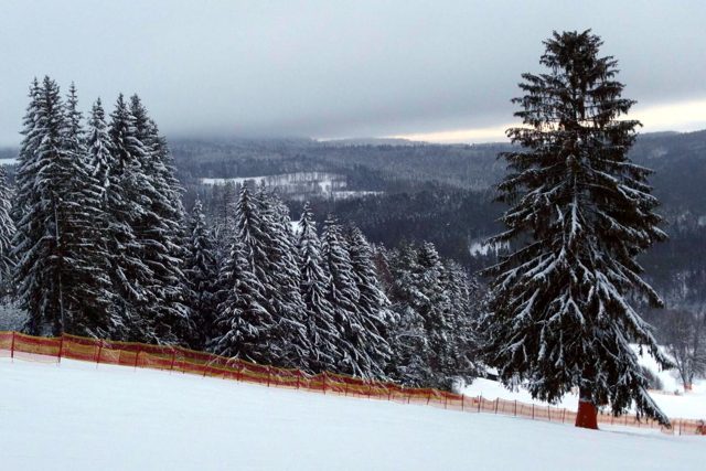 SkiCamp Lipno 2019