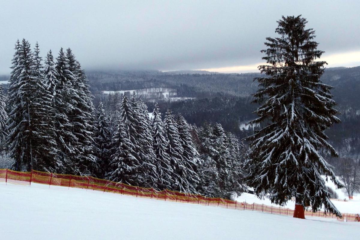 Lipno SkiCamp 2019
